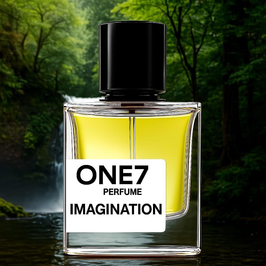 IMAGINATION | Inspired By Imagination By LVT - Image 2