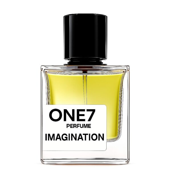 IMAGINATION | Inspired By Imagination By LVT