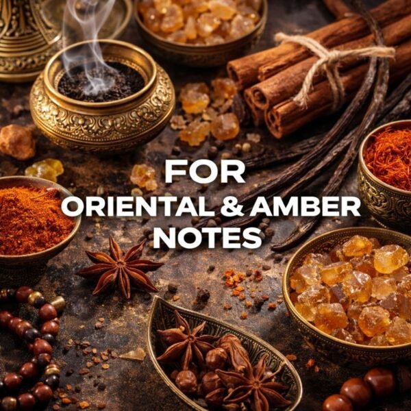 WhatsApp Image 2026-01-17 at 2.22.14 PM WhatsApp Image 2026 01 17 at 2 22 14 PM