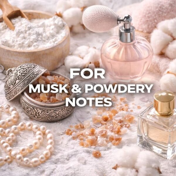 WhatsApp Image 2026-01-17 at 2.22.15 PM (1) WhatsApp Image 2026 01 17 at 2 22 15 PM (1)