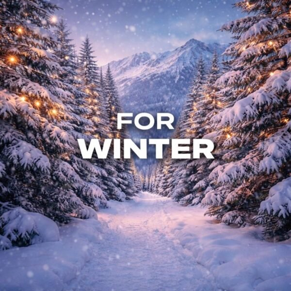 WhatsApp Image 2026-01-17 at 2.22.39 PM WhatsApp Image 2026 01 17 at 2 22 39 PM